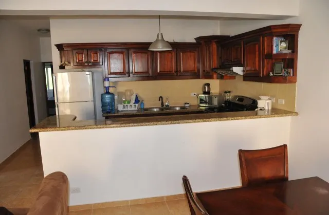 The Cove Resort Samana apartment kitchen 2
